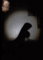 超酷的手影舞gif搞笑图片