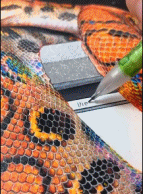 别怕 这是条假蛇gif搞笑图片