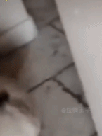 旋转跳跃不停歇gif搞笑图片