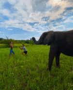 原来在自拍gif搞笑图片