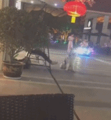 那些铲屎官的离谱操作gif搞笑图片