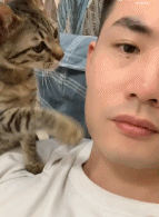 这谁顶得住啊gif搞笑图片