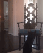 帮你完成起飞gif搞笑图片