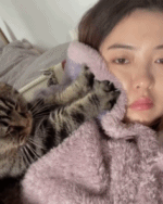 做个脸部spagif搞笑图片