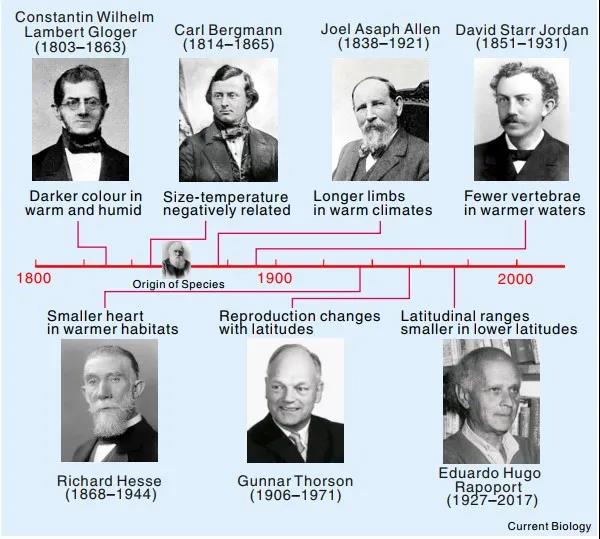 七位著名生物/生态学家和以他们姓氏命名的生态地理法则（图源：Current Biology）