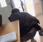 都怪下课太开心gif搞笑图片