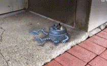 藏在城市里的小精灵们gif搞笑图片