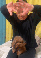 学的有模有样gif搞笑图片