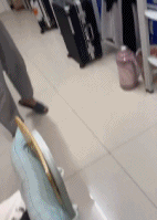 这该死的求胜欲gif搞笑图片