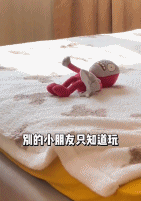 小朋友对着奥特曼偷偷的磕头-搞笑gif动态图片-izike