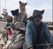 这样的日子也不孤单gif搞笑图片