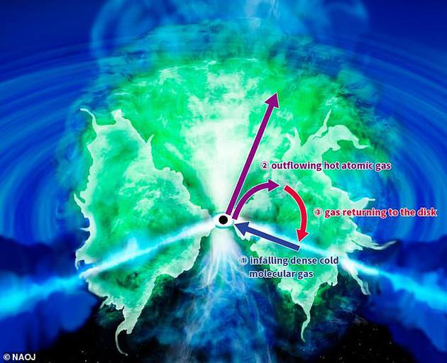 根据最新的研究成果，围绕黑洞的气体下落过程其实更多是一种三步走的过程。首先，低温气体在自转平面附近形成一个盘状结构，不断加热，直到其中的分子解体；这其中的一部分分子物质会被喷射出去，朝向吸积盘的上方或下方高速喷出，但随后在引力作用下散开并再次落回吸积盘，有点像是喷水池中的喷泉，从而在四周构成一个类似甜甜圈的厚圈状结构。