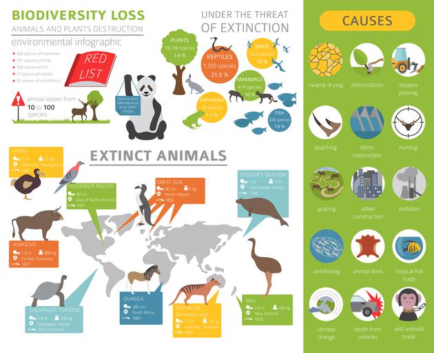 人类行为应该对生物多样性降低负责。