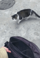 这家你不回也罢gif搞笑图片