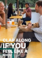 这是狗狗身上的开关吧gif搞笑图片