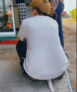 尾巴藏不住了gif搞笑图片