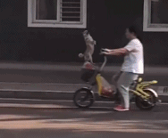 就悄悄地路过gif搞笑图片