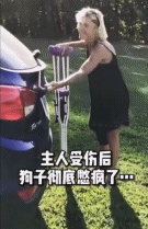 几百年没出来溜溜了-搞笑gif动态图片-izike