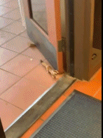 给我回来gif搞笑图片