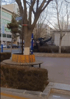 又被大爷惊呆了gif搞笑图片