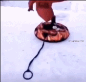 看来也不需要垫子gif搞笑图片