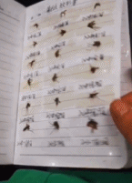 老师没收过最离谱的书gif搞笑图片