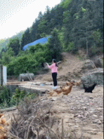 女生叫鸡知道为什么要弯腰了-美女动态图片-gif动态图 - izike-izike