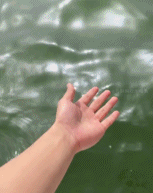 人和动物的“友好”gif搞笑图片