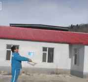 松散的雪的快乐gif搞笑图片