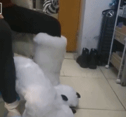 可爱保暖两不误gif搞笑图片