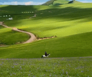 完美的新疆草原gif搞笑图片