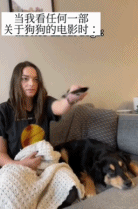 看任何一部狗狗电影gif搞笑图片