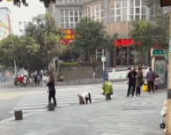 小朋友能有什么烦恼呢gif搞笑图片