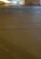 学国标出身的哈士奇gif搞笑图片