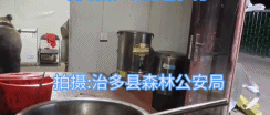轻车熟路偷东西的棕熊监控视频-搞笑gif动态图片-izike