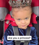 人家是国王gif搞笑图片