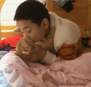 没人能顶得住猫猫gif搞笑图片