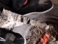 天太冷了暖暖手gif搞笑图片