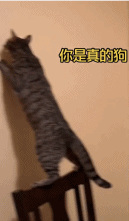 一只手搬不动上两只手-搞笑gif动态图片-izike