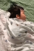 平静的被子是表象gif搞笑图片