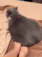 冬日捂脚神器gif搞笑图片