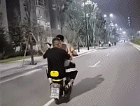 交警追上电动车玩闹的男人-帅哥动态图片-gif动态图-izike