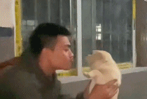 狗狗版的先下手为强gif搞笑图片