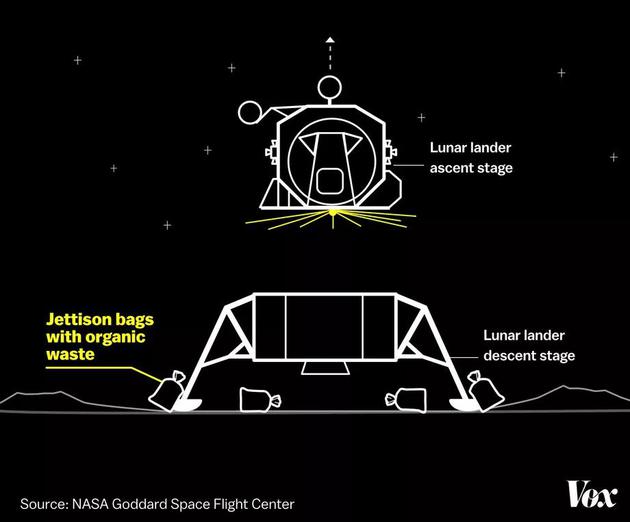 在解决自然需求之后，宇航员将一个个装有纸尿裤的白色垃圾袋留在月球上。