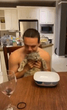 猫：我魅力这么大吗gif搞笑图片