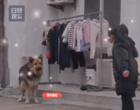 讲理行不行咱别抄家伙-搞笑gif动态图片 - izike-izike