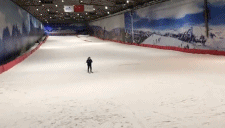 刹不住车了gif搞笑图片