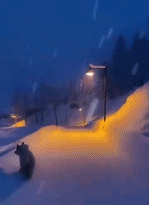 雪夜的意境gif搞笑图片