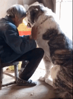 谢谢你，一直陪着我gif搞笑图片