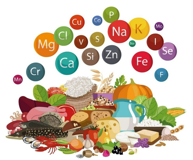 矿物质是由对生物体有营养价值的微量元素和大量元素组成